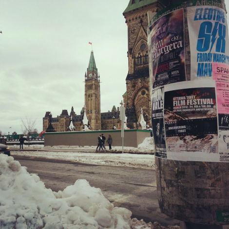 542636_219900384822561_48759361_n