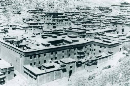 12746189_10154870203633868_689741392_n